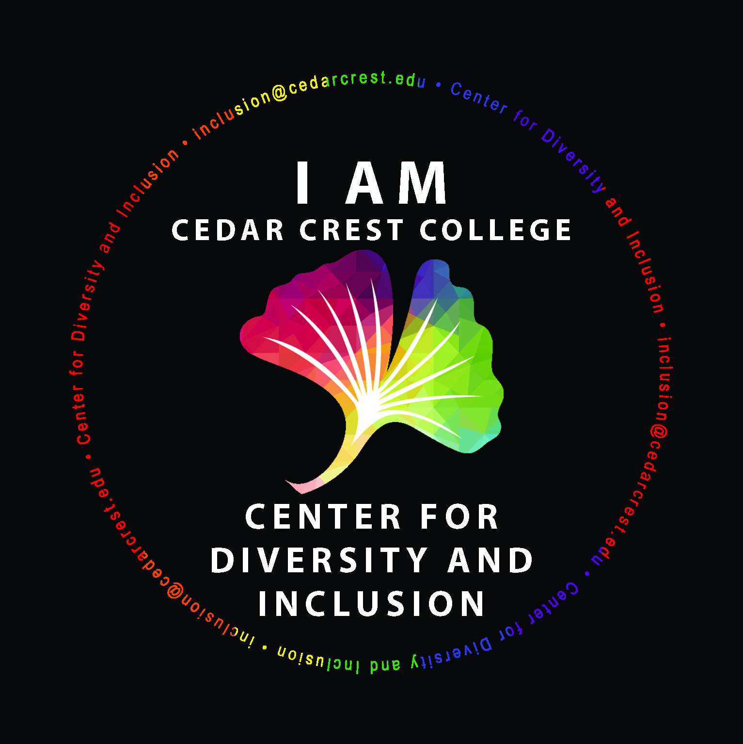 Essay about diversity and inclusion